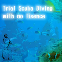 trial scuba diving in okinawa