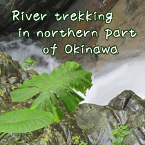 river trekking in northern part of okinawa