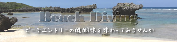 沖縄ビーチダイビング