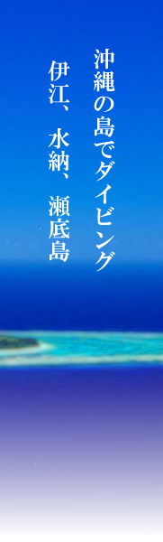 沖縄ボートダイビング・伊江島・水納島・瀬底島