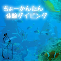 美ら海水族館すぐそば！沖縄瀬底島周辺で体験ダイビングはクラブアクシス
